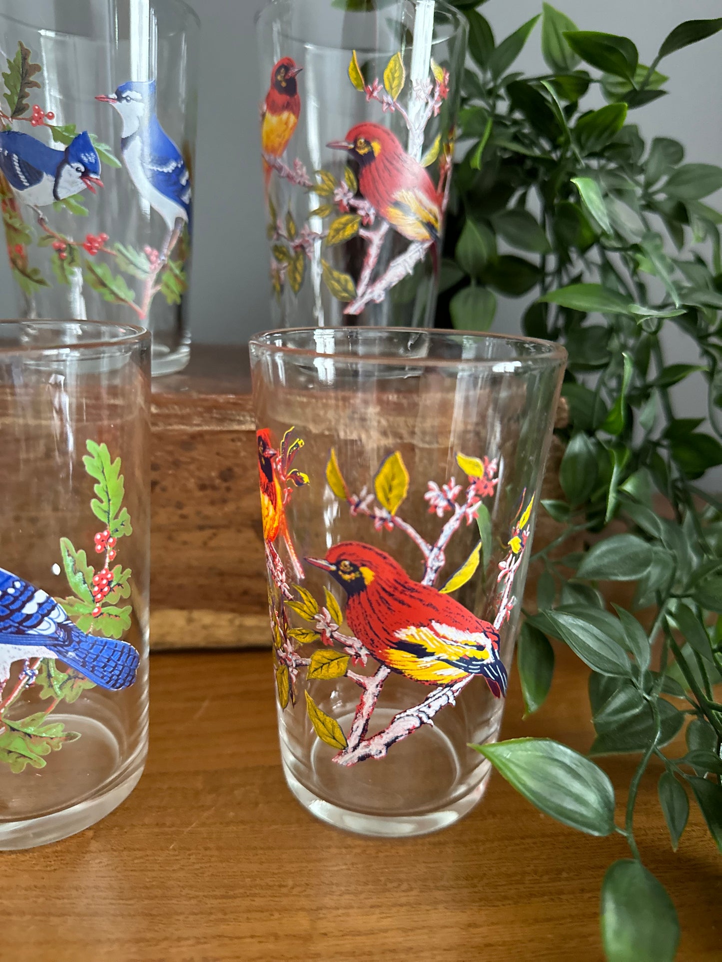 Set of 6 Mid-Century glasses