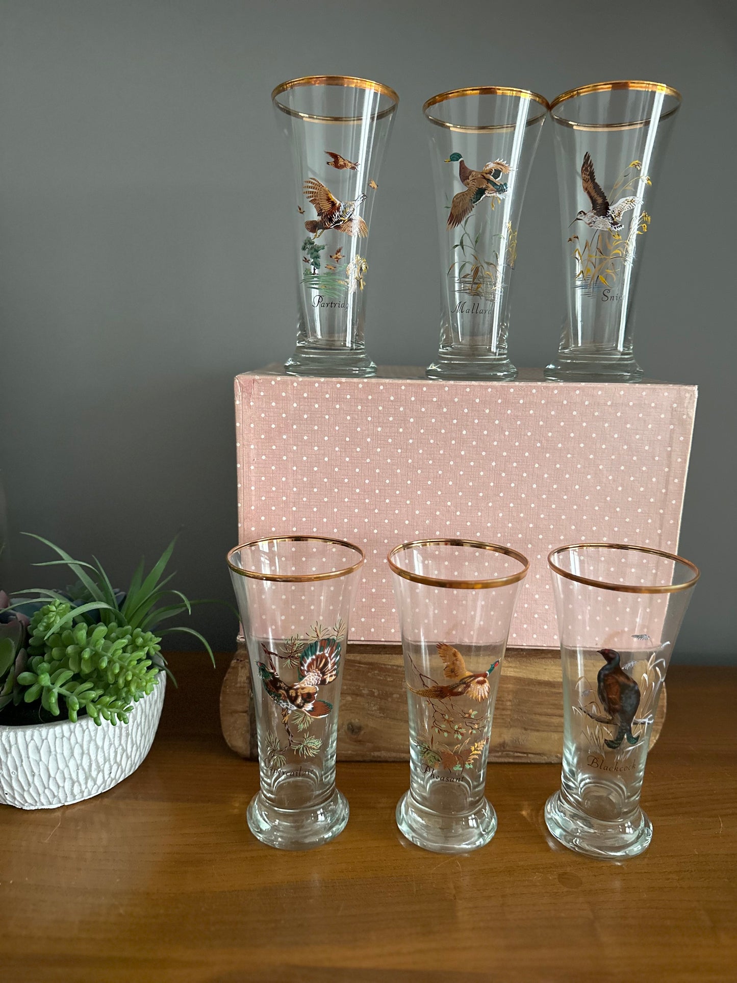 Set of 6 boxed bird themed Mid Century glasses