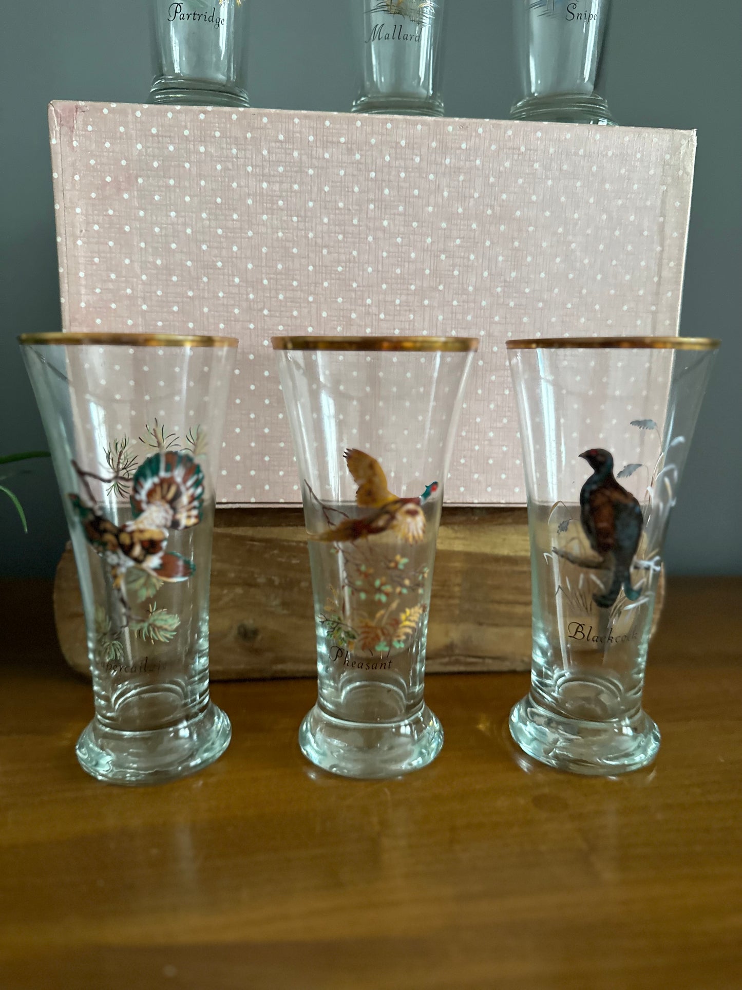 Set of 6 boxed bird themed Mid Century glasses