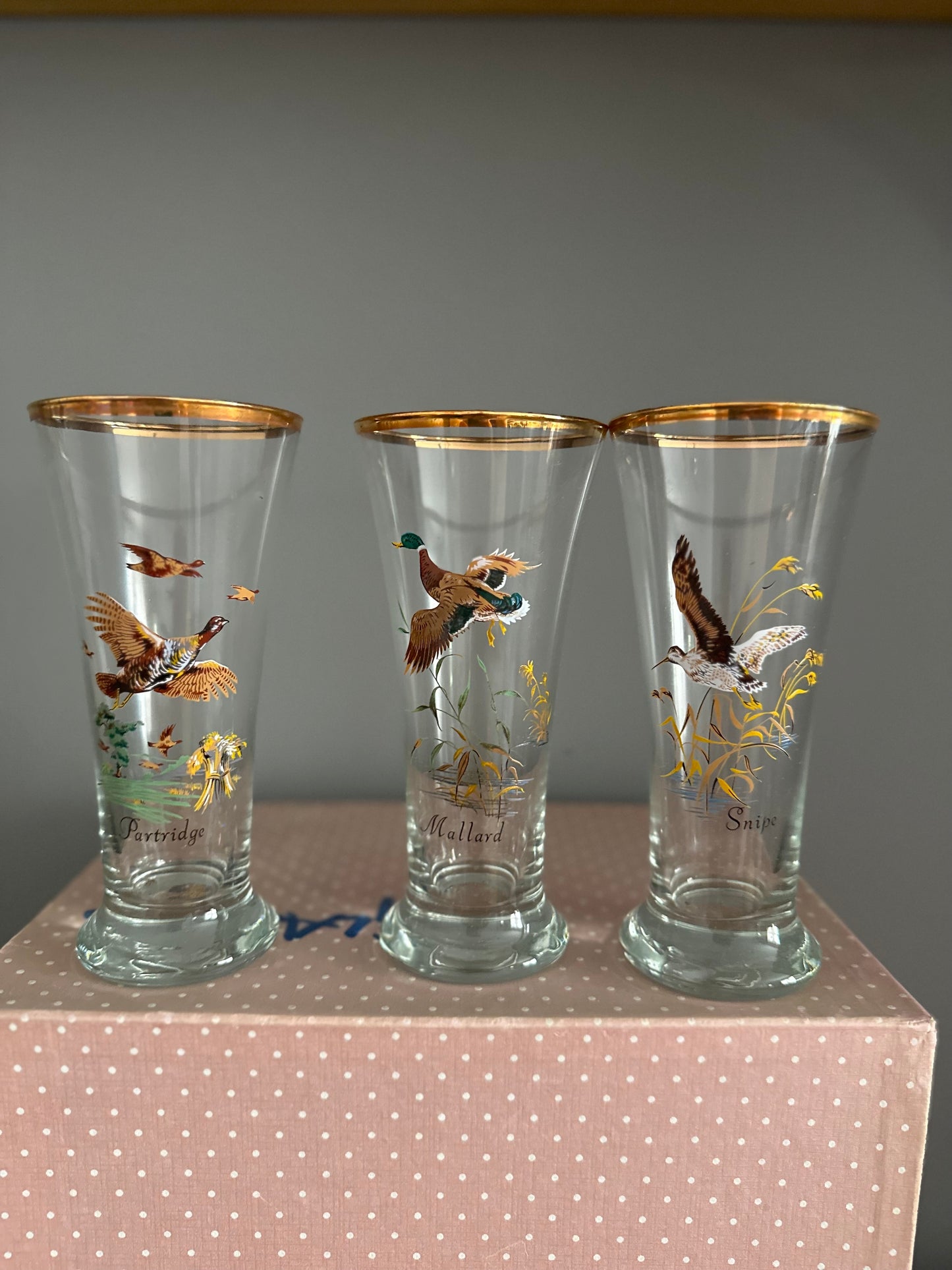 Set of 6 boxed bird themed Mid Century glasses