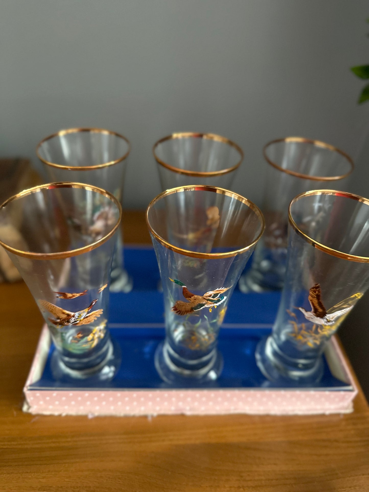 Set of 6 boxed bird themed Mid Century glasses