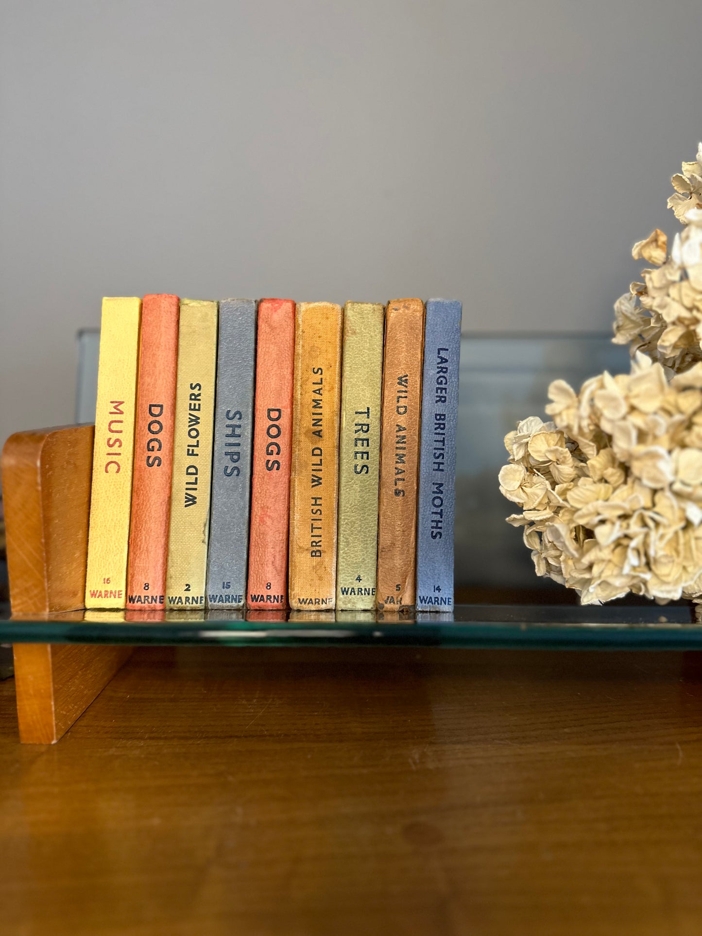 Warne Observer books