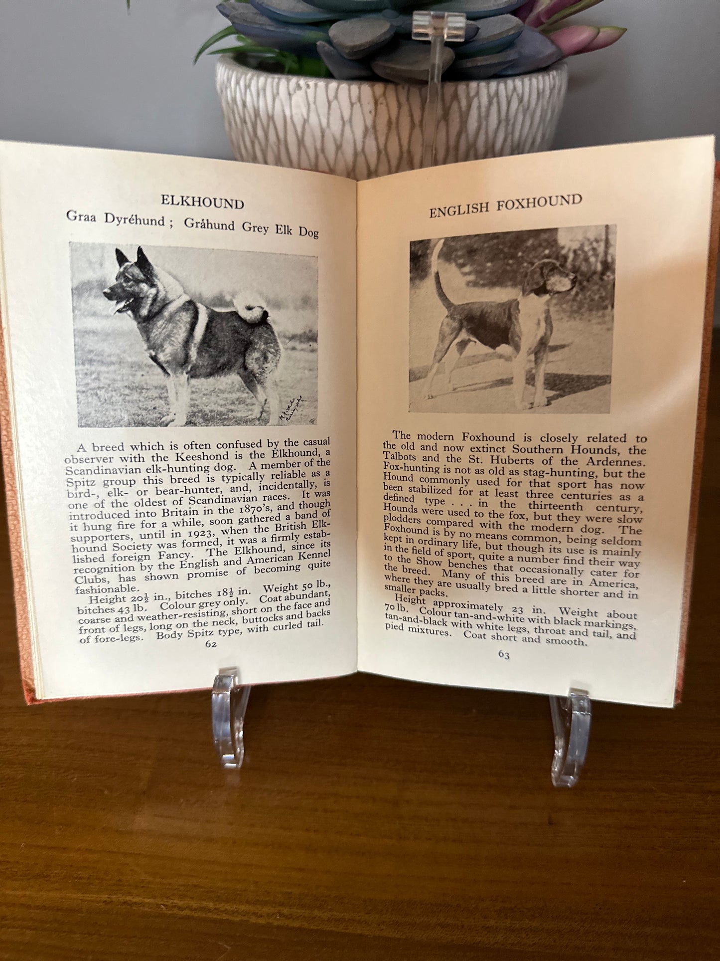Warne Observer books