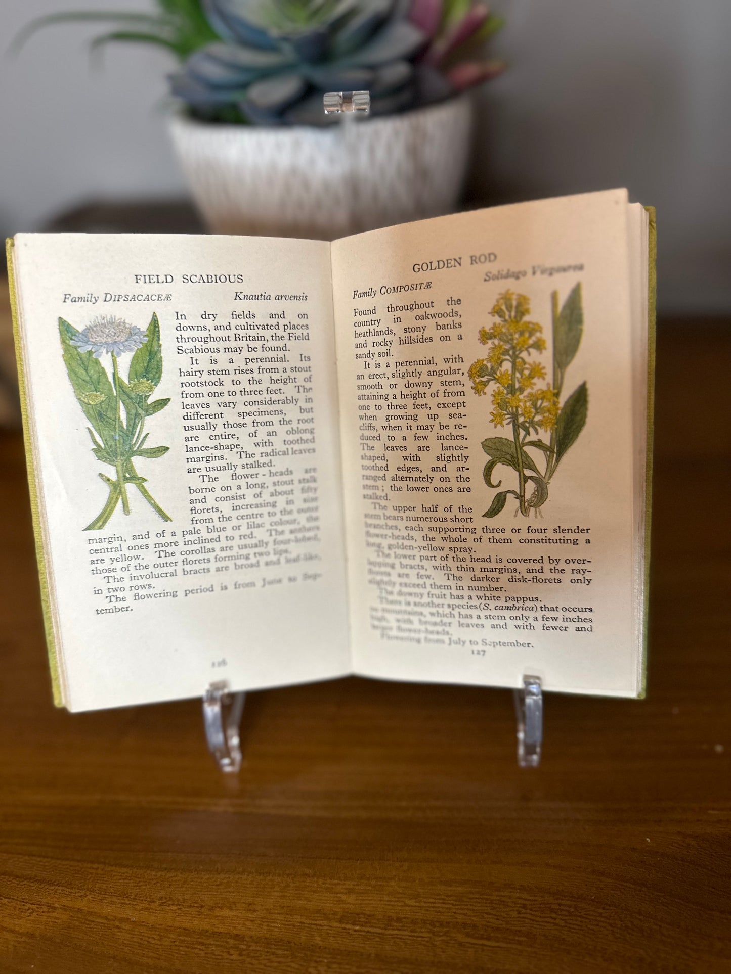 Warne Observer books