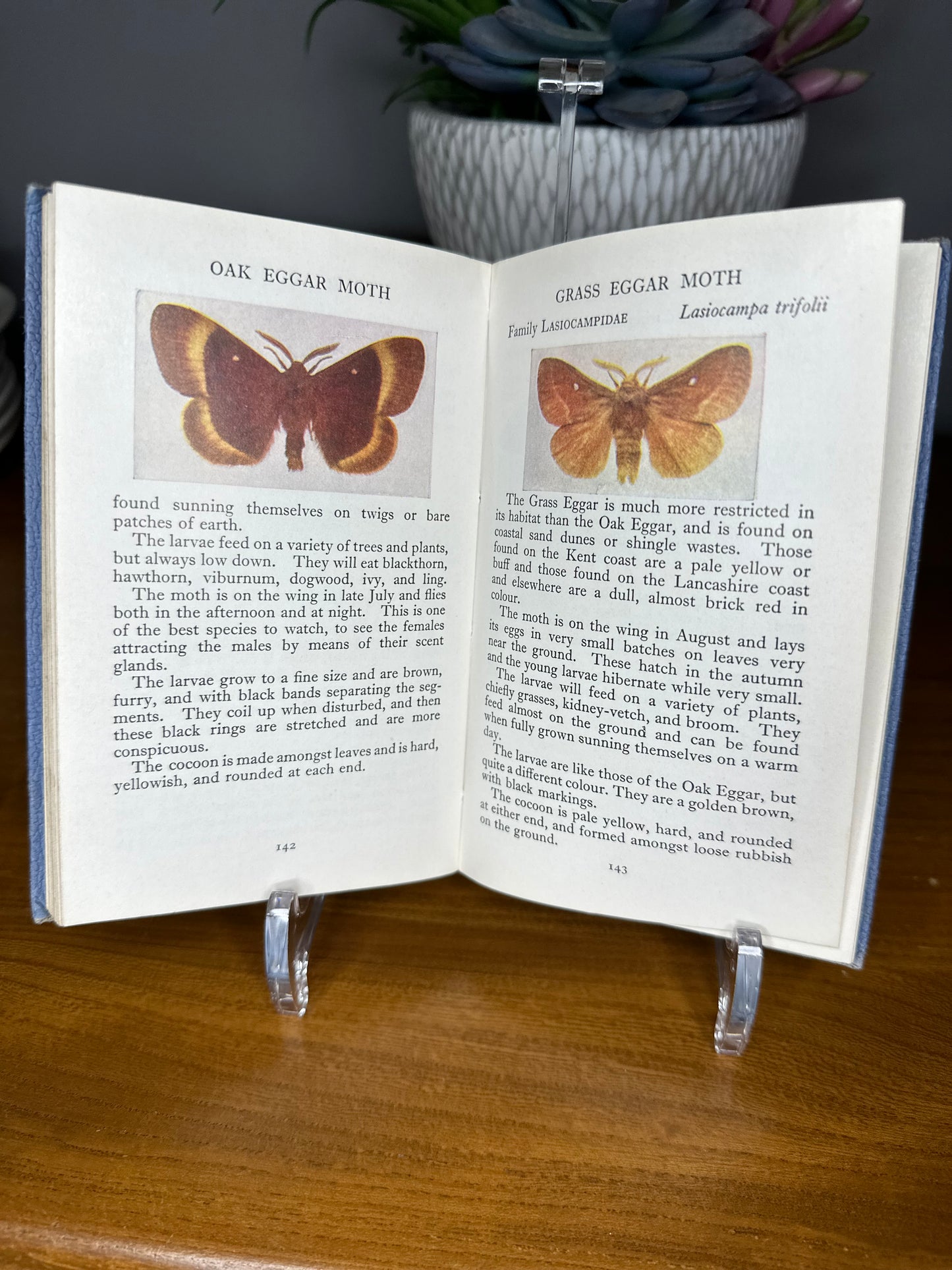 Warne Observer books