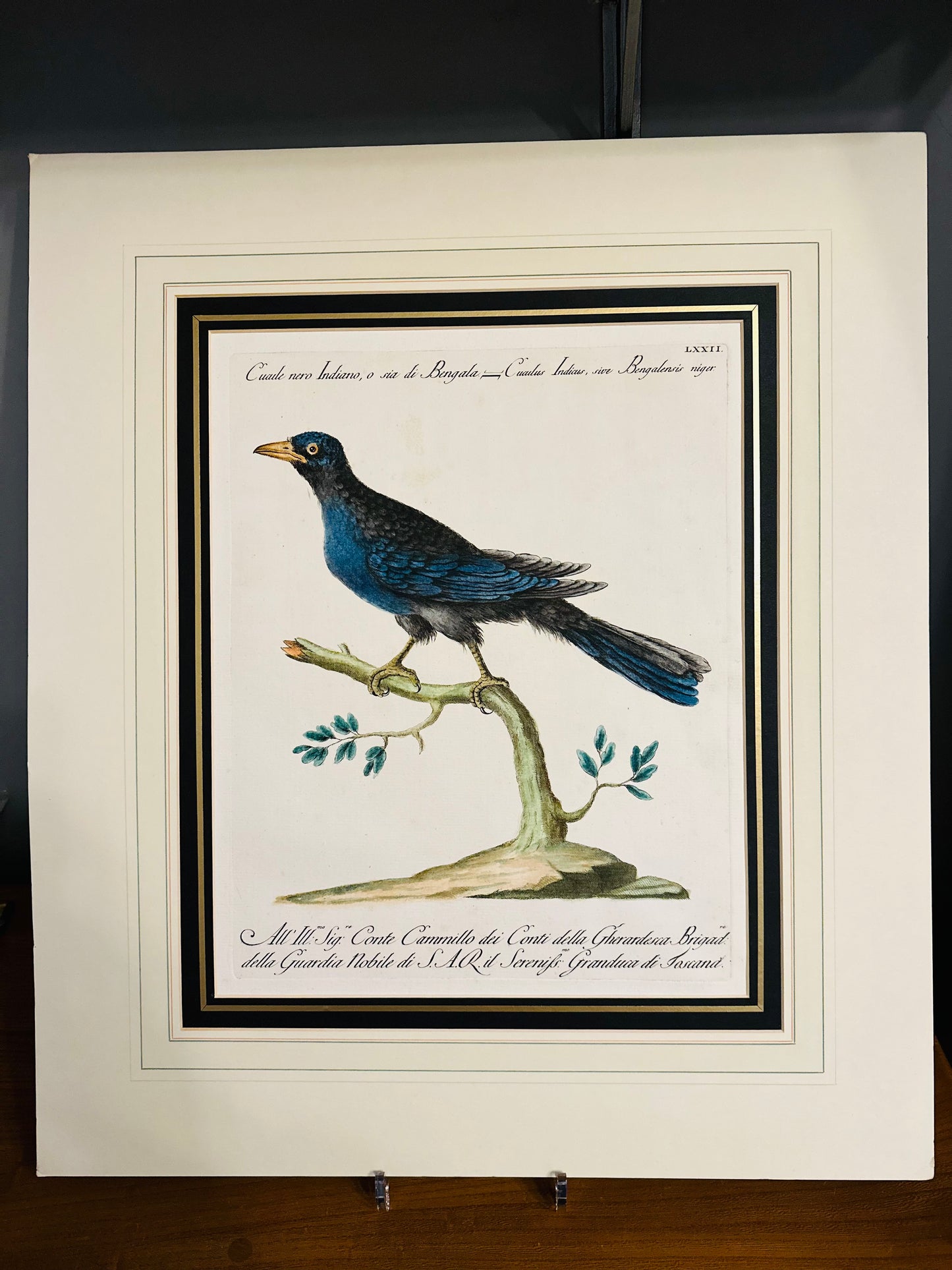 Large Antique hand coloured, mounted Copperplate engraving