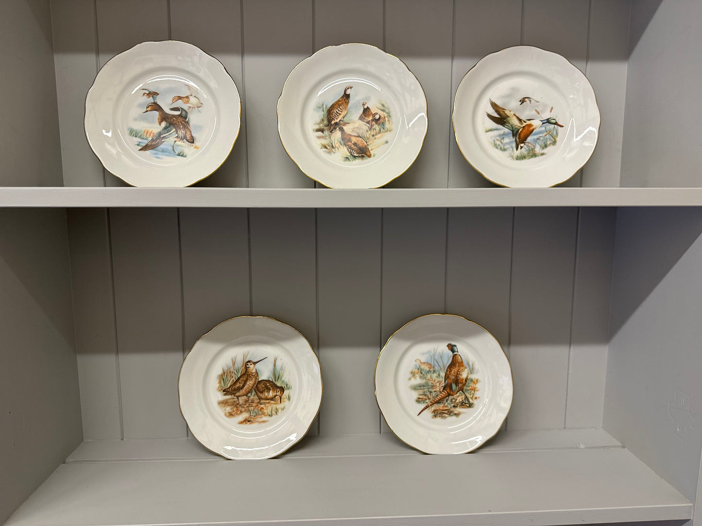 Set of 5 x antique French F.D Chauvigny porcelain game bird plates