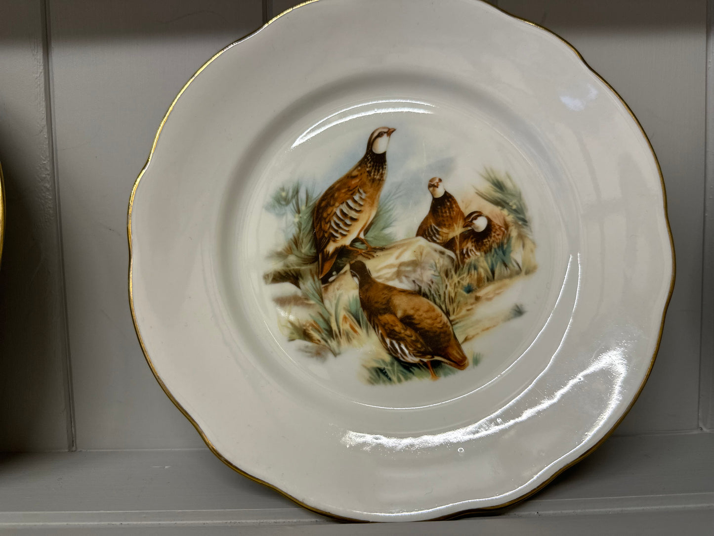 Set of 5 x antique French F.D Chauvigny porcelain game bird plates