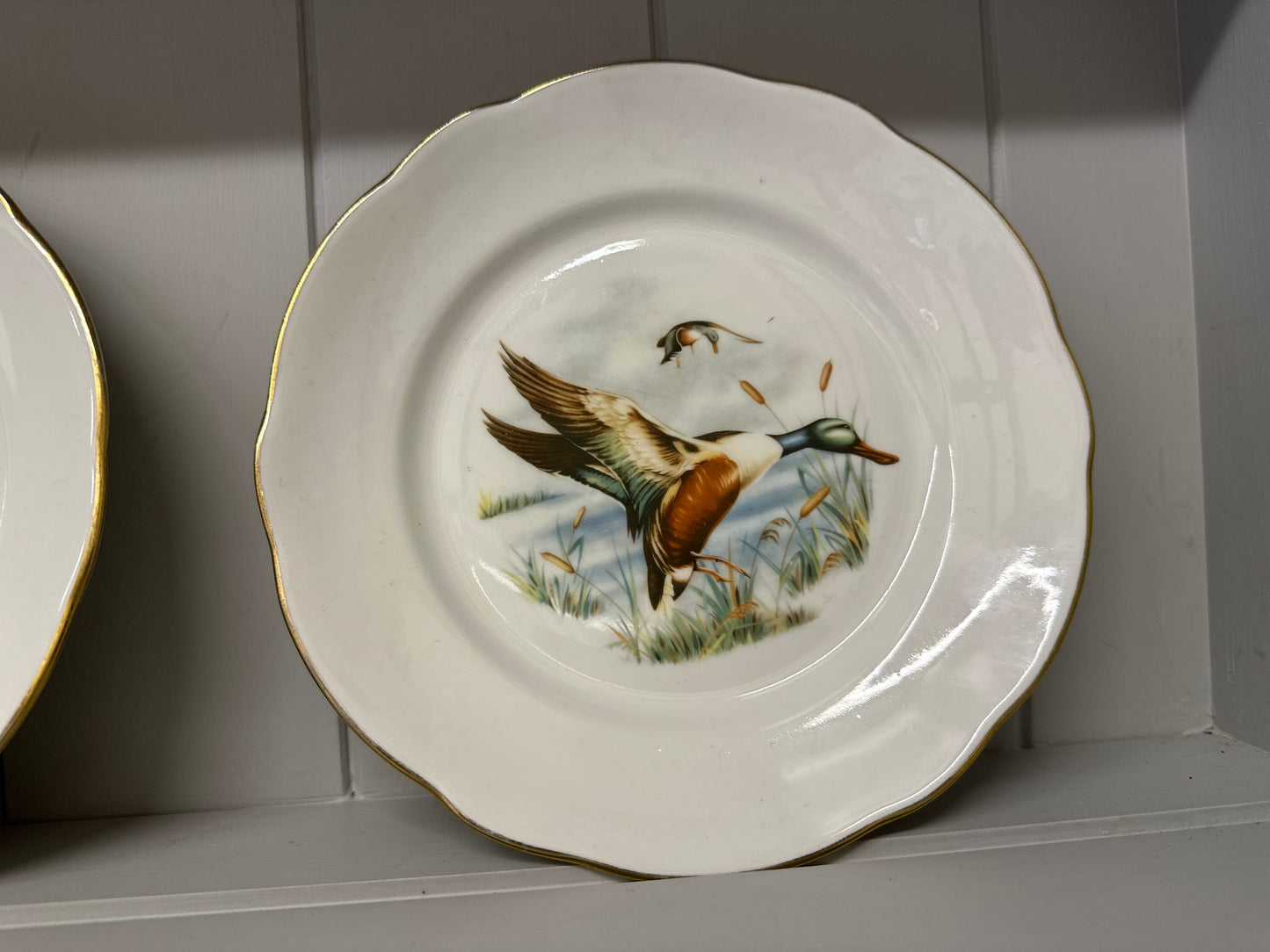 Set of 5 x antique French F.D Chauvigny porcelain game bird plates