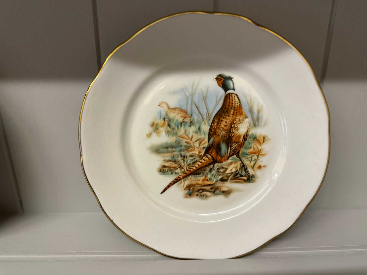 Set of 5 x antique French F.D Chauvigny porcelain game bird plates
