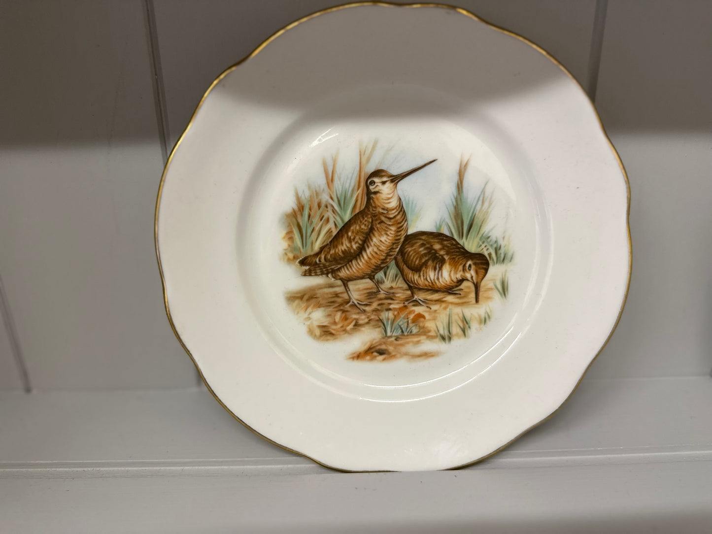 Set of 5 x antique French F.D Chauvigny porcelain game bird plates