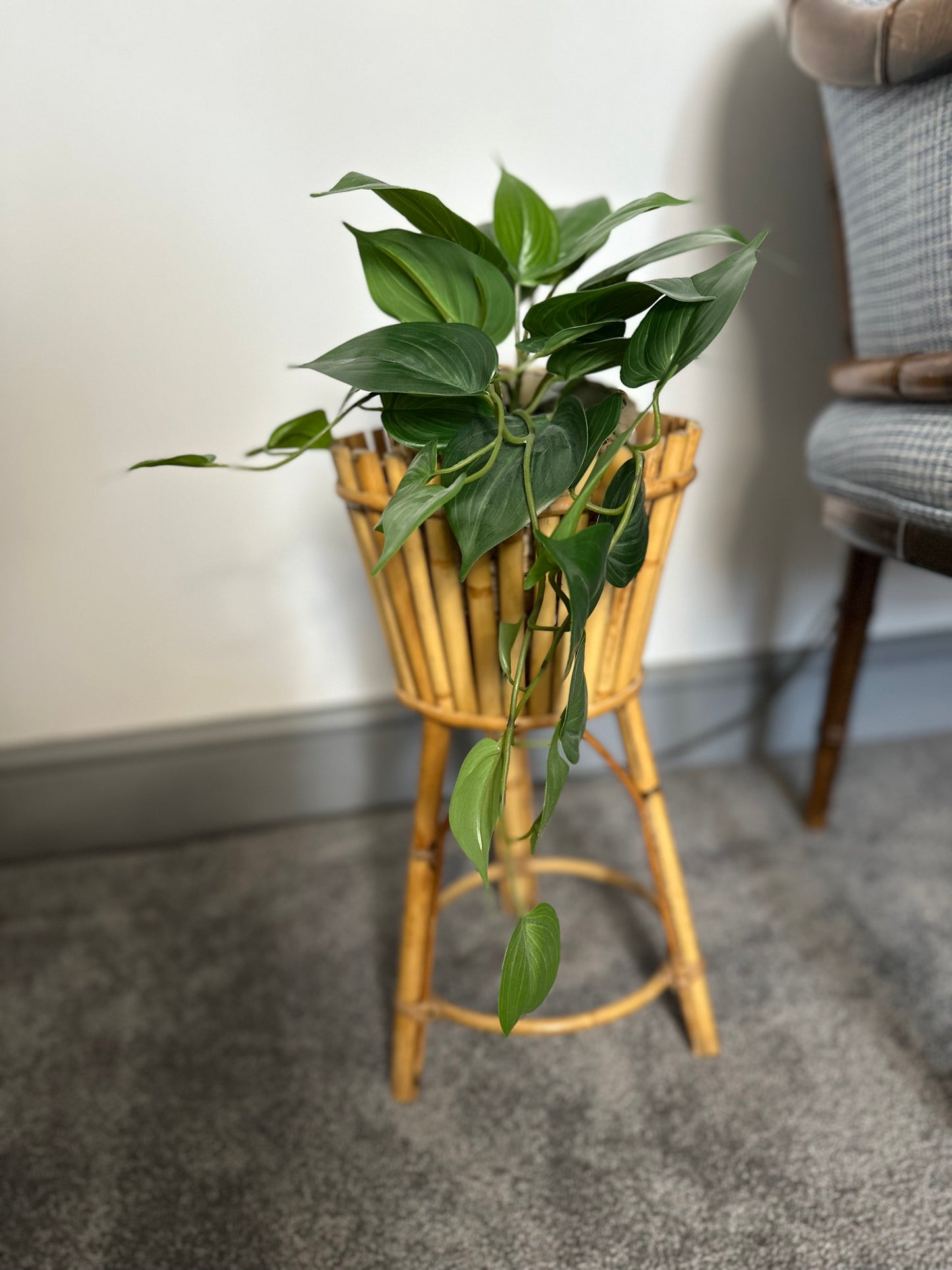 Vintage Mid Century bamboo Cane planter stand