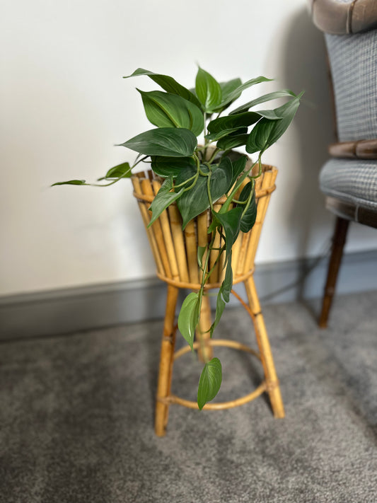 Vintage Mid Century bamboo Cane planter stand