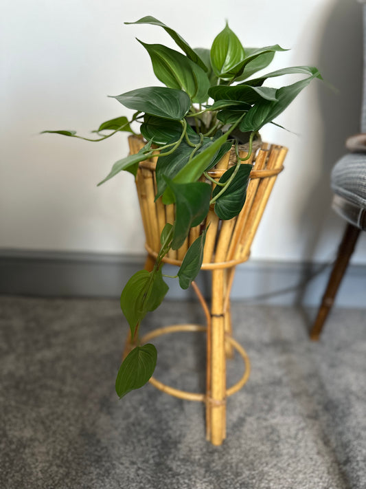 Vintage Mid Century bamboo Cane planter stand
